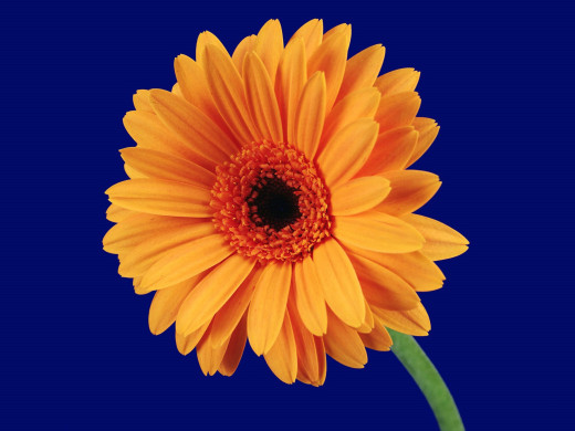 432892 (a): :1600x1200